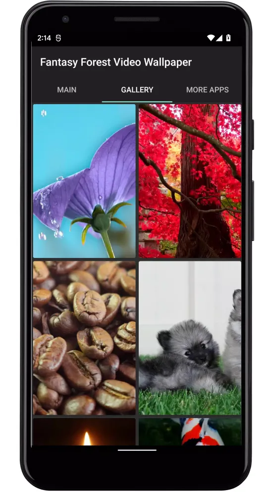 Captures d'écran de Dog Licks Screen Video Theme