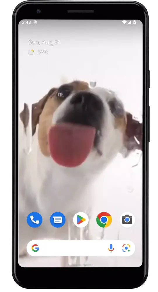 Captures d'écran de Dog Licks Screen Video Theme