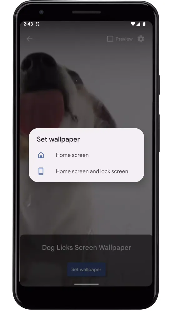 Captures d'écran de Dog Licks Screen Video Theme