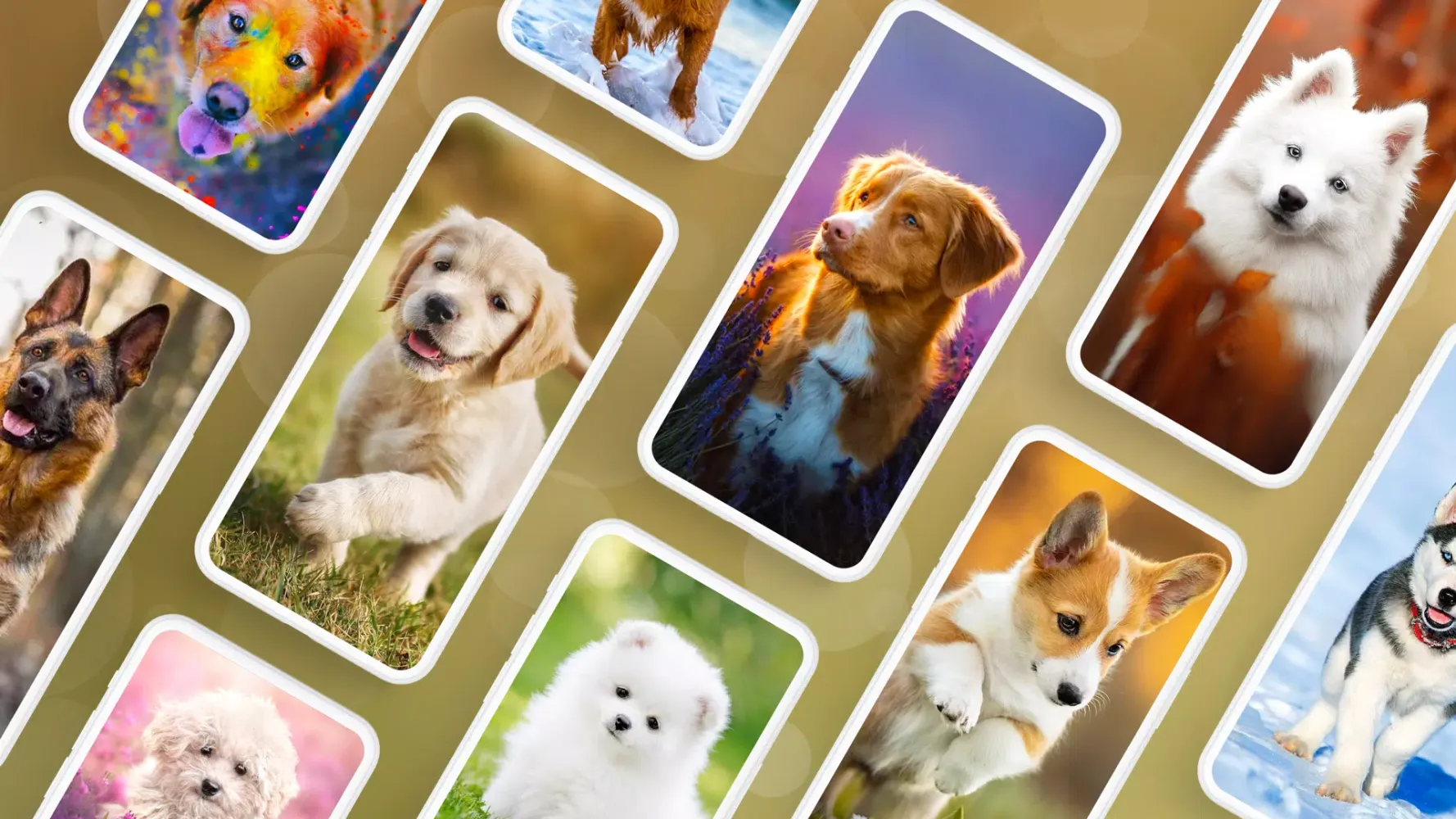 Tangkapan layar Dog Wallpapers & Puppy 4K
