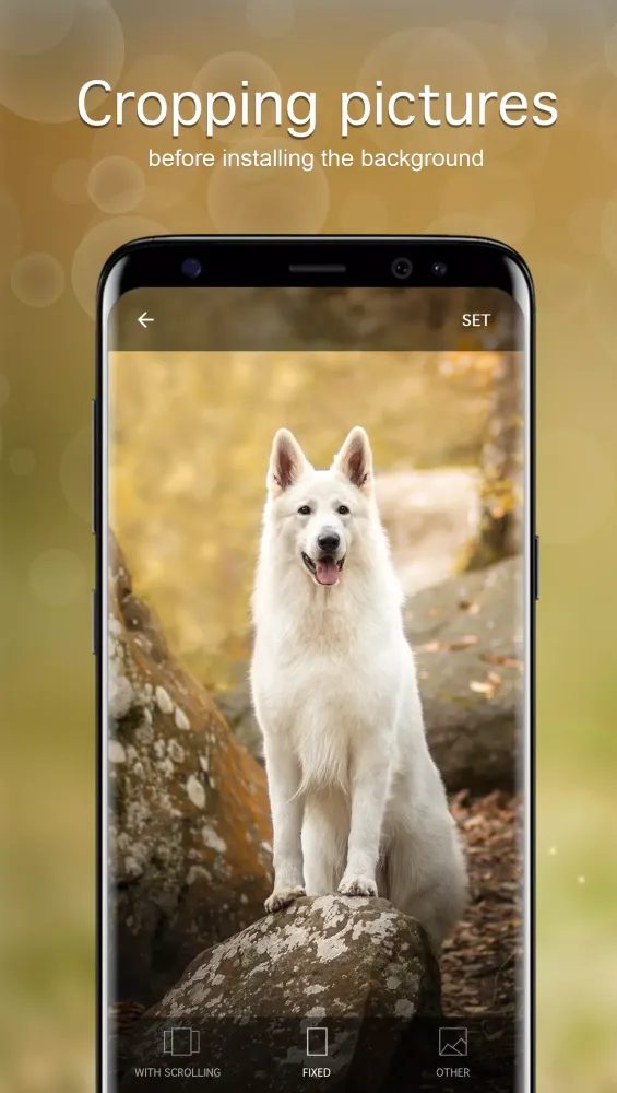 Tangkapan layar Dog Wallpapers & Puppy 4K