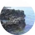 Domoni - Wiki