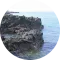 Domoni - Wiki