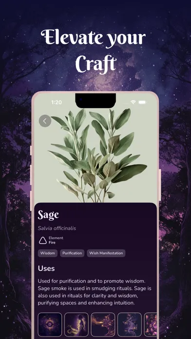 Tangkapan layar Witchcraft & Wicca - Coven App
