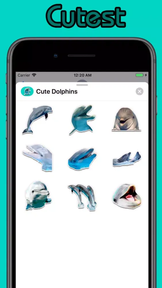 Cute Dolphins স্ক্রিনশট