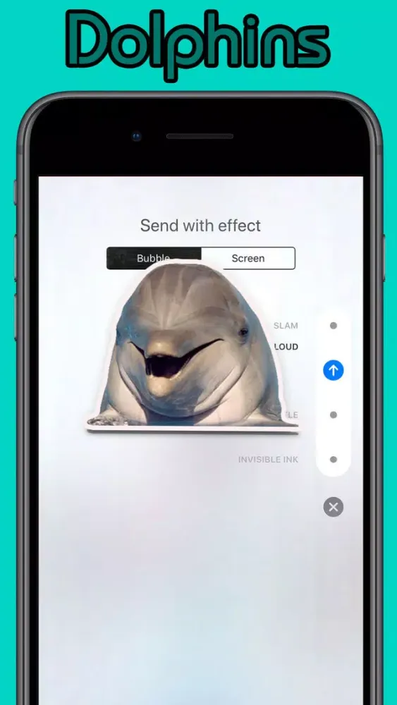Cute Dolphins স্ক্রিনশট