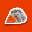 Cute Hedgehogs