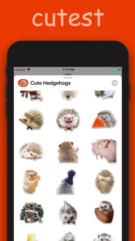 Cute Hedgehogs应用截图