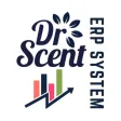DS ERP System