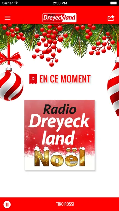 Capturas de pantalla de Radio Dreyeckland Noel