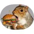 Gourmet Squirrels