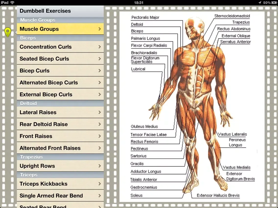 صور Dumbbell Exercises iPad 