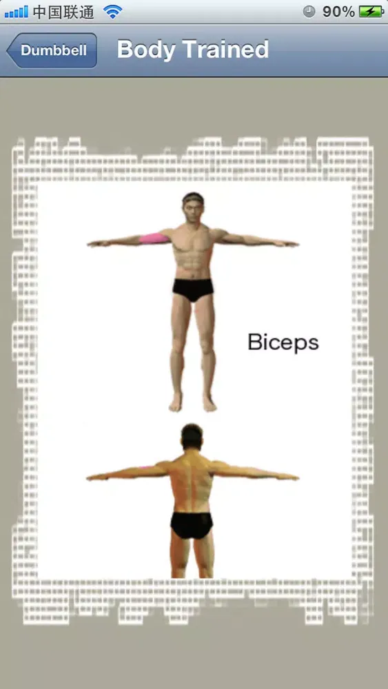 صور Dumbbell Exercises