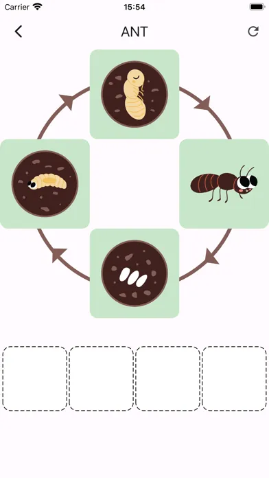 Learn life cycle for toddler应用截图