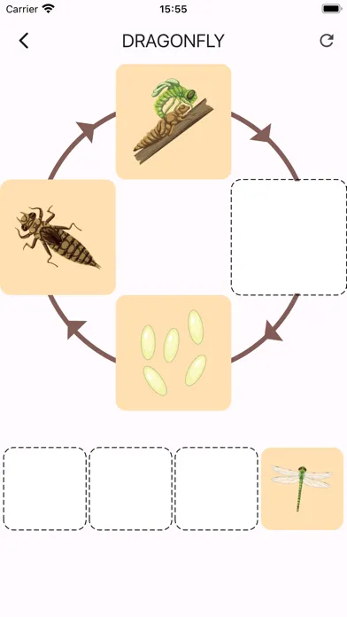 Learn life cycle for toddler应用截图