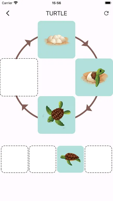 Learn life cycle for toddler应用截图