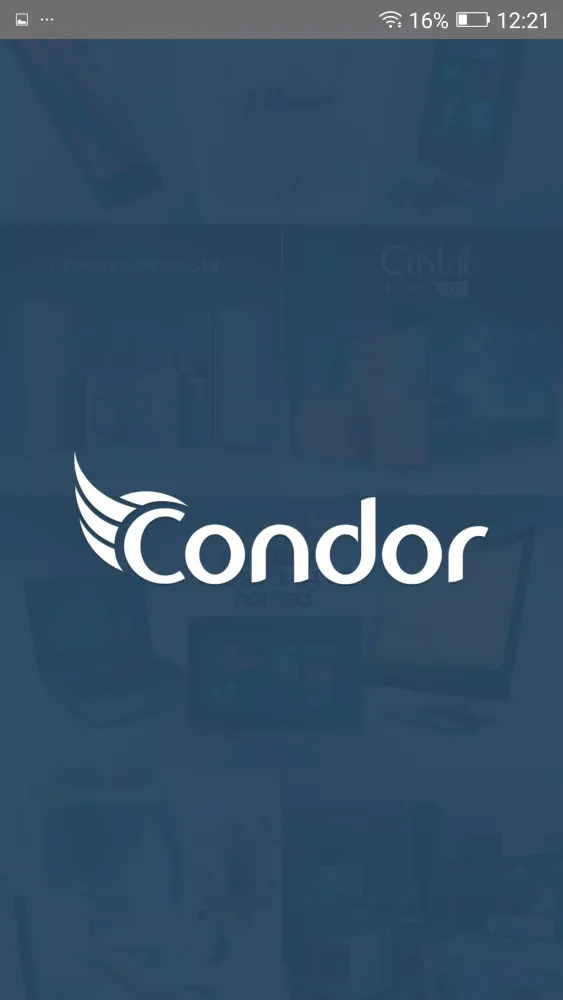 Скриншоты Condor Passport