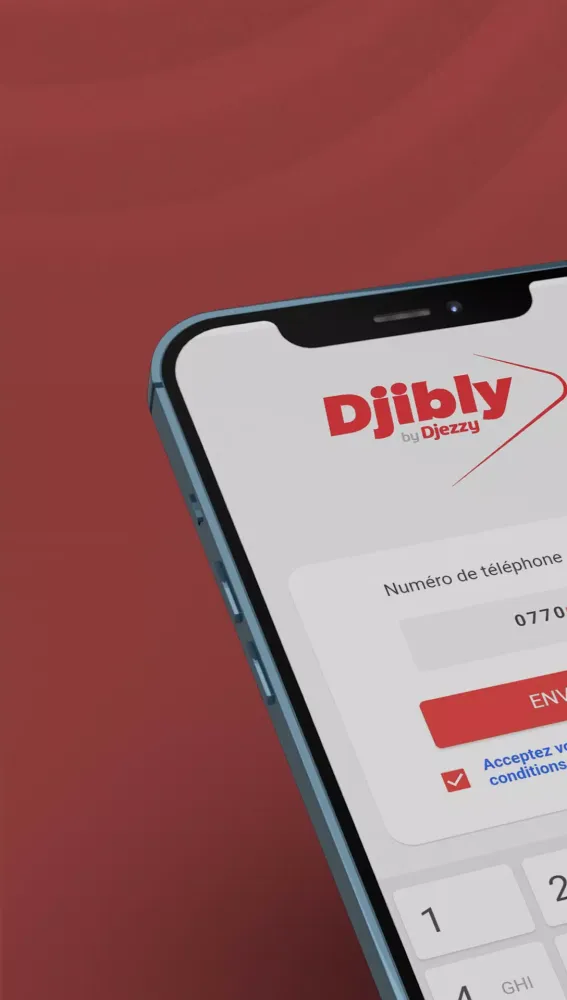 Capturas de tela do DJIBLY PoS