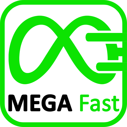 MegaFast Delivery