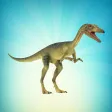 Compsognathus Simulator Compsognathus Simulator