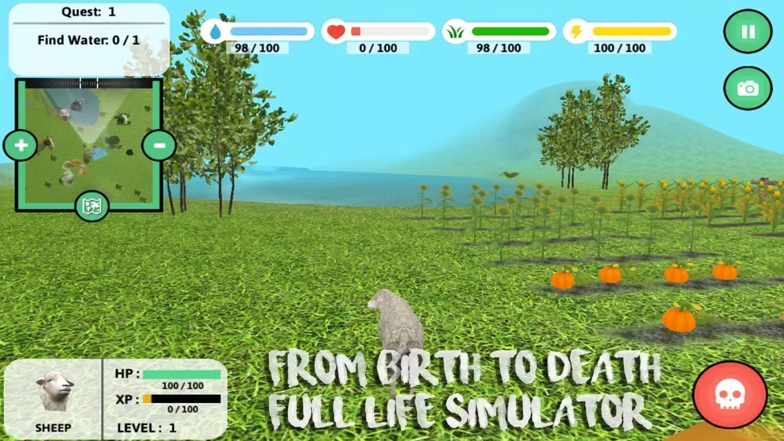 Скриншоты My Sheep Simulator