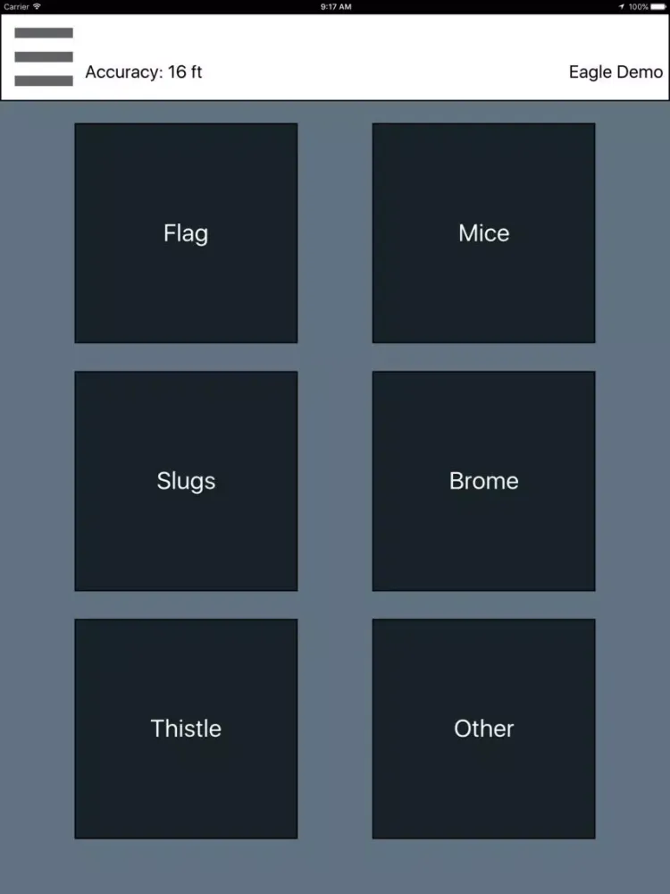 Eagle Flagger iPad  Screenshots