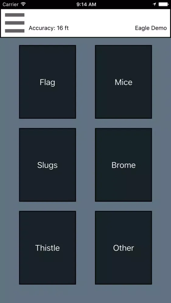 Eagle Flagger Screenshots