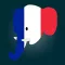 Easy Learning French - Translate & Learn - 60+ Languages, Quiz, frequent words lists, vocabulary