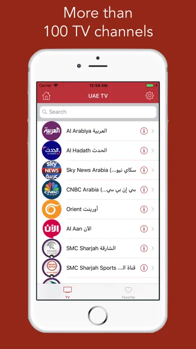 Tangkapan skrin UAE TV - تلفزيون الإمارات