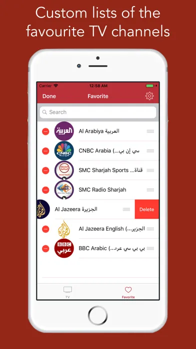 Tangkapan skrin UAE TV - تلفزيون الإمارات