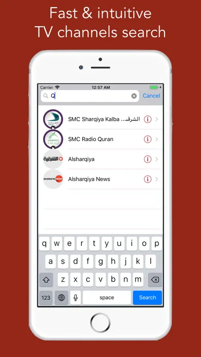Tangkapan skrin UAE TV - تلفزيون الإمارات