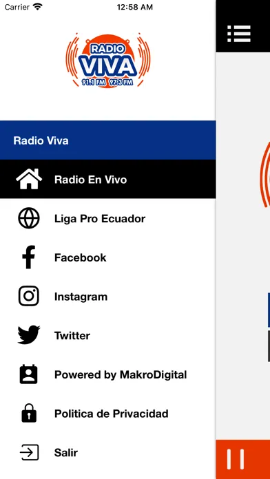 Capturas de tela do Radio Viva