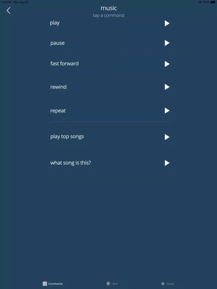 App for Echo Dot Devices iPad  Screenshots