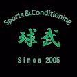 Sports Conditioning Cube Sports Conditioning Cube