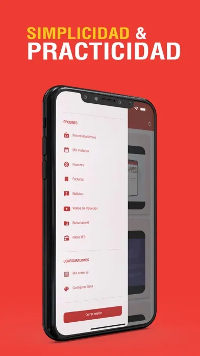 Capturas de pantalla de Sistema Académico TES