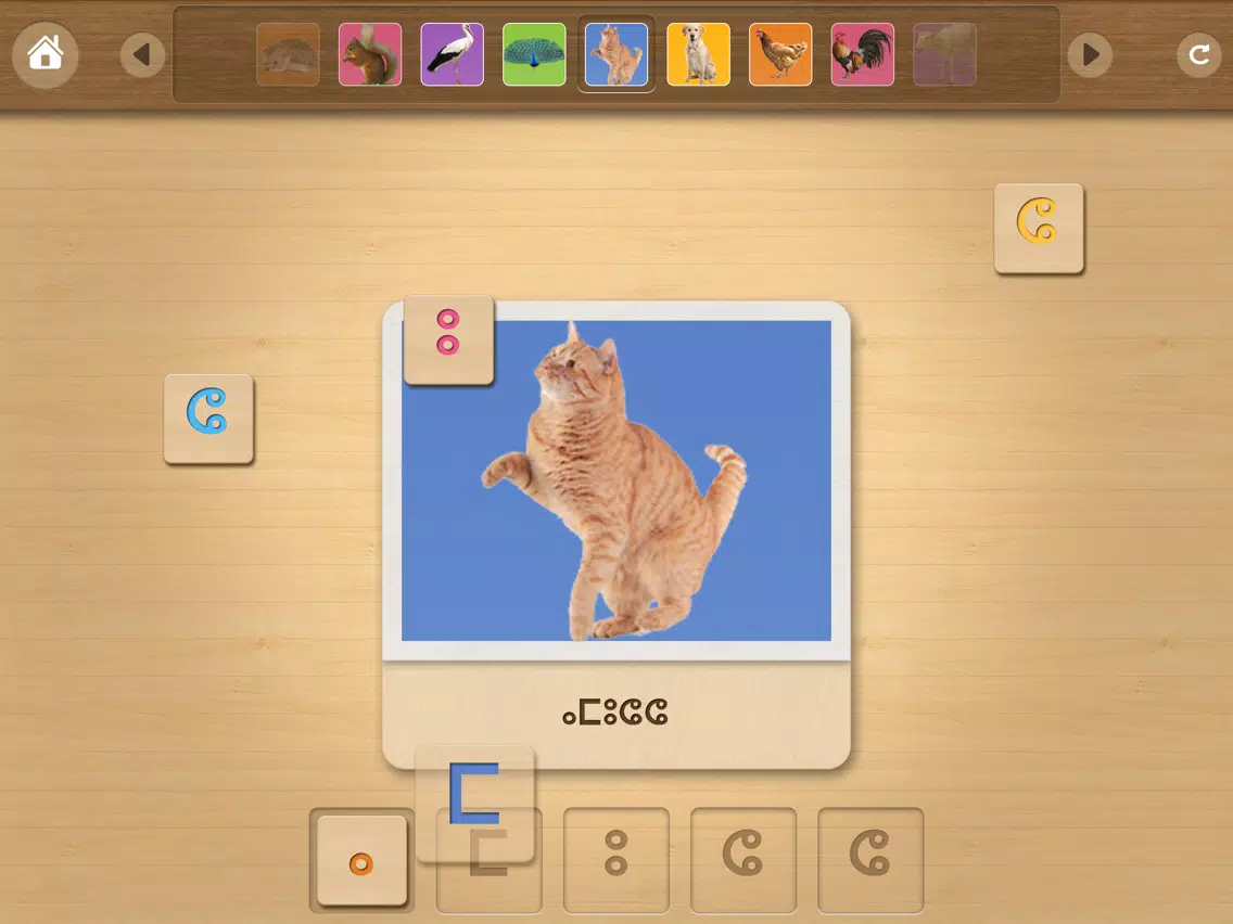 Captures d'écran de Learn Tamazight & Tifinagh iPad 