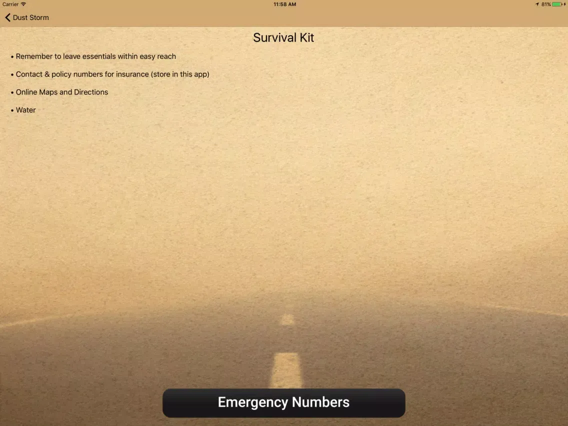 Ảnh chụp màn hình của Dust Storm iPad 