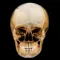 Dental Panoramic Radiology