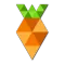 Carat