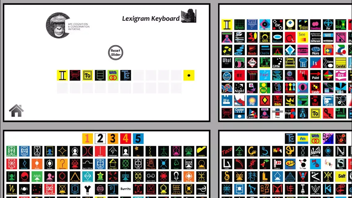 Lexigram Slider স্ক্রিনশট