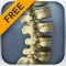 The Kinetic Spine (Free)