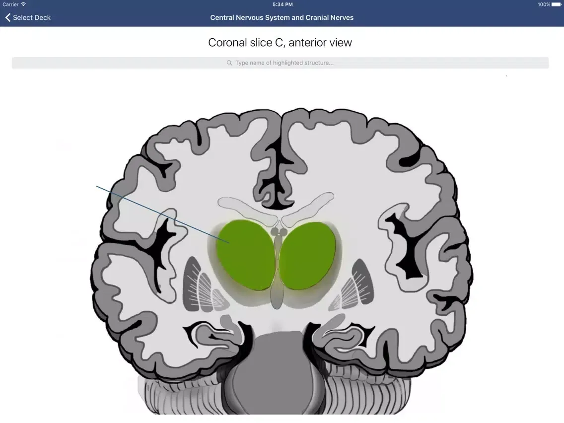 Anatomy SmartCards iPad 應用截圖