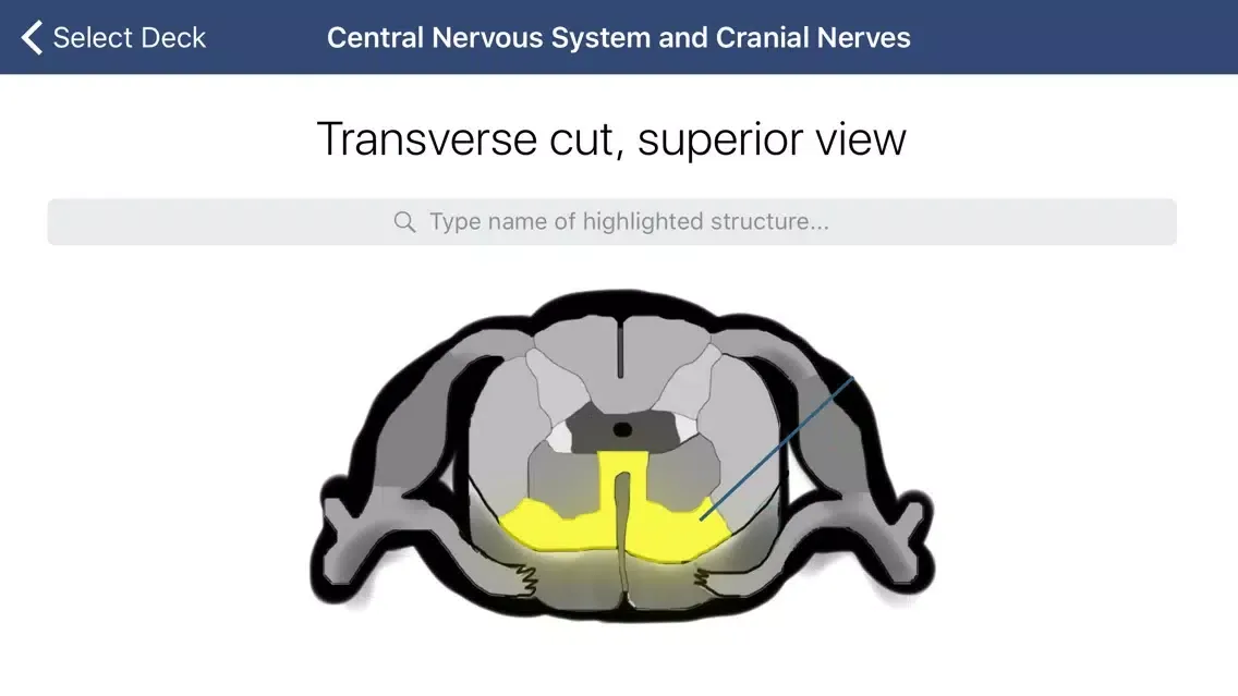 Anatomy SmartCards應用截圖