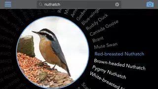 Birdsnap 스크린샷