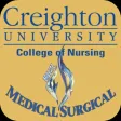 CU Nursing MS