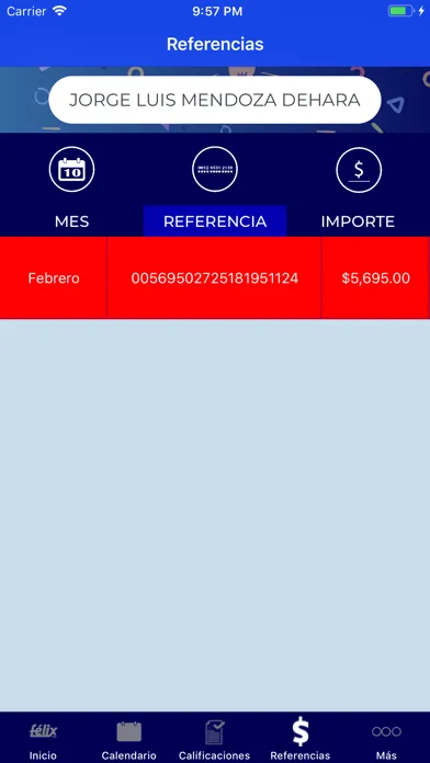 Tangkapan skrin Félix APP