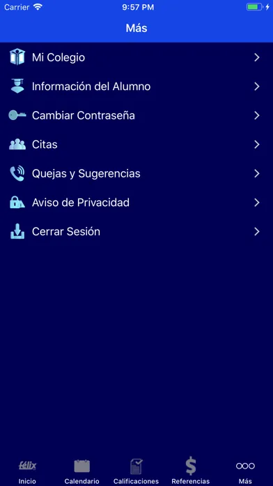 Tangkapan skrin Félix APP