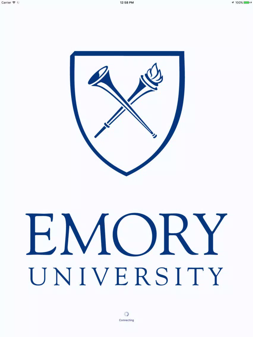 Emory Mobile iPad  Ekran Görüntüleri