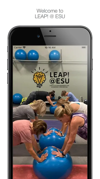 Ảnh chụp màn hình của LEAP! @ ESU