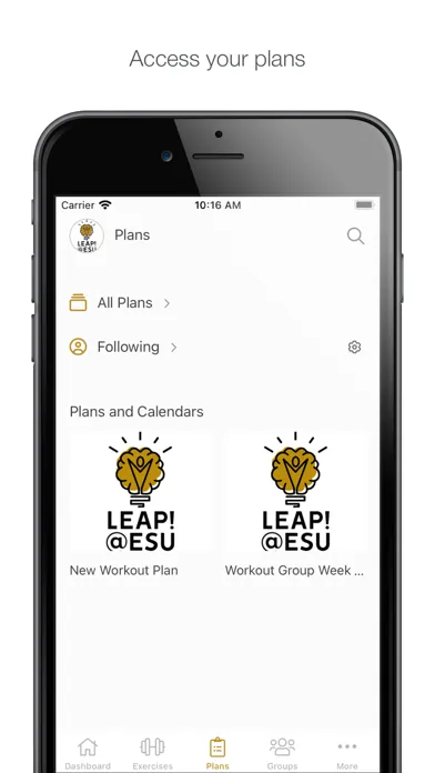 Ảnh chụp màn hình của LEAP! @ ESU